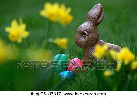 Stock Photo - Chocolate Easter bunny and Easter eggs, chocolate bunny. Fotosearch