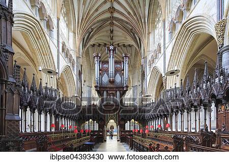 Choir and Organ, Cathedral Church of Saint Peter at Exeter, Exeter, Devon, England, United Kingdom, Europe View Large Photo Image Stock Image - Choir and Organ, Cathedral Church of Saint Peter at Exeter, Exeter, Devon, England, United Kingdom, Europe. Fotosearch