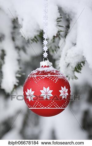 Picture - Christmas ball on snowy branch. Fotosearch