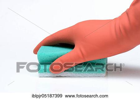 Cleaning sponge and rubber glove, household gloves, sponge, sponges View Large Photo Image Stock Photo - Cleaning sponge and rubber glove, household gloves, sponge, sponges. Fotosearch