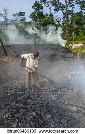 Coal production out of wood, Libongo, deep in the jungle of Cameroon View Large Photo Image Stock Photo - Coal production out of wood, Libongo, deep in the jungle of Cameroon. Fotosearch
