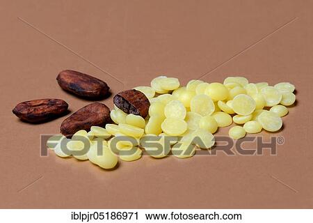 Stock Image - Cocoa butter chips and cocoa beans( Theobroma cacao), chocolate ingredient. Fotosearch