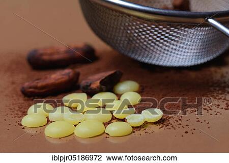 Cocoa powder in sieve and cocoa beans( Theobroma cacao), cocoa, chocolate ingredient View Large Photo Image Stock Image - Cocoa powder in sieve and cocoa beans( Theobroma cacao), cocoa, chocolate ingredient. Fotosearch
