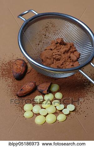 Cocoa powder in sieve and cocoa beans( Theobroma cacao), cocoa, chocolate ingredient View Large Photo Image Stock Image - Cocoa powder in sieve and cocoa beans( Theobroma cacao), cocoa, chocolate ingredient. Fotosearch
