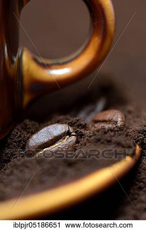 Stock Image - Coffee beans and coffee powder, Coffea arabica. Fotosearch