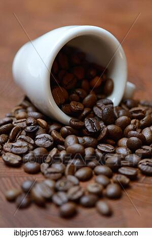 Coffee beans with espresso cup, espresso cup View Large Photo Image Stock Image - Coffee beans with espresso cup, espresso cup. Fotosearch