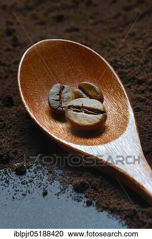 Coffee, coffee beans in wooden spoon and coffee powder, Coffea arabica View Large Photo Image Stock Image - Coffee, coffee beans in wooden spoon and coffee powder, Coffea arabica. Fotosearch