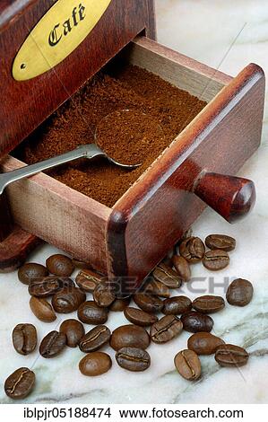 Coffee powder in coffee grinder, coffee, Coffea arabica View Large Photo Image Picture - Coffee powder in coffee grinder, coffee, Coffea arabica. Fotosearch