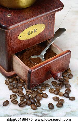 Stock Photography - Coffee powder in coffee grinder, coffee, Coffea arabica. Fotosearch