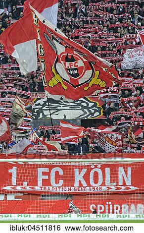 Cologne fan block, flag 1. FC Köln, RheinEnergie Stadium, Cologne, North Rhine-Westphalia, Germany, Europe View Large Photo Image Stock Photograph - Cologne fan block, flag 1. FC Köln, RheinEnergie Stadium, Cologne, North Rhine-Westphalia, Germany, Europe. Fotosearch