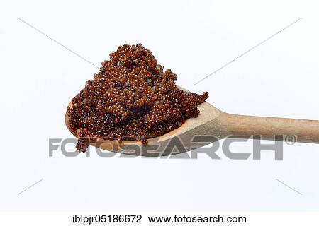 Stock Image - Cooked Kaniwa in cooking spoon, Baby Quinoa, Chenopodium pallidicaule. Fotosearch