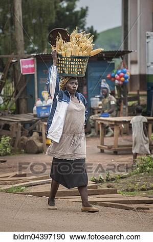 Stock Image - Corn seller on way to market, street scene, Fundong, Northwest Region, Cameroon, Africa. Fotosearch