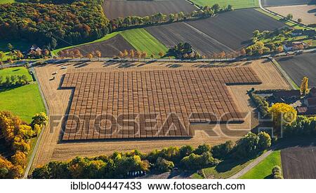 Cornfield, Pelkum, Hamm, Ruhr district, North Rhine-Westphalia, Germany, Europe View Large Photo Image Stock Image - Cornfield, Pelkum, Hamm, Ruhr district, North Rhine-Westphalia, Germany, Europe. Fotosearch