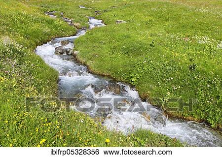 Stock Photograph - Course of the stream, Buendner Alps, Graubuenden, Switzerland, Bündner Alps, Europe. Fotosearch