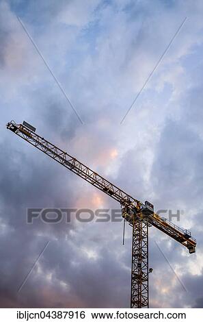 Crane in the evening in front of cloudy sky, Saxony-Anhalt, Germany, Europe View Large Photo Image Stock Photograph - Crane in the evening in front of cloudy sky, Saxony-Anhalt, Germany, Europe. Fotosearch