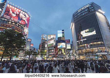 crowd of people, Shibuya Crossing, Tokyo, Japan, Asia View Large Photo Image Stock Photograph - crowd of people, Shibuya Crossing, Tokyo, Japan, Asia. Fotosearch