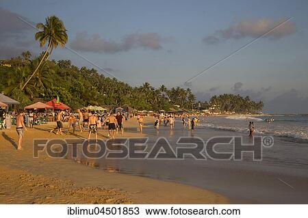 Crowded sandy beach at Mirissa, Sri Lanka, Asia View Large Photo Image Stock Image - Crowded sandy beach at Mirissa, Sri Lanka, Asia. Fotosearch