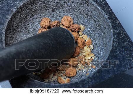 Crushed tigernuts in grating shell, Cyperus esculentus View Large Photo Image Stock Image - Crushed tigernuts in grating shell, Cyperus esculentus. Fotosearch