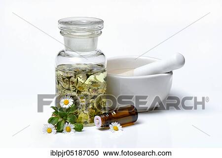 Daisy blossoms and daisy tincture, daisy tincture View Large Photo Image Stock Image - Daisy blossoms and daisy tincture, daisy tincture. Fotosearch
