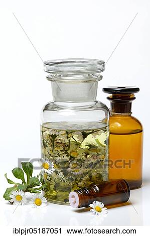 Stock Image - Daisy blossoms and daisy tincture, daisy tincture. Fotosearch