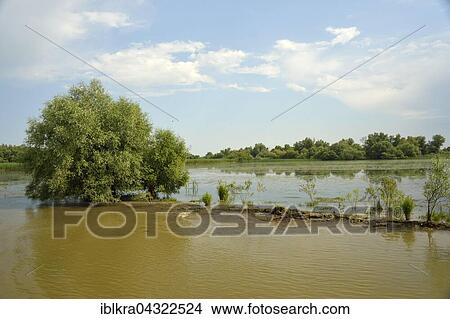 Picture - Danube Delta, Romania, Europe. Fotosearch