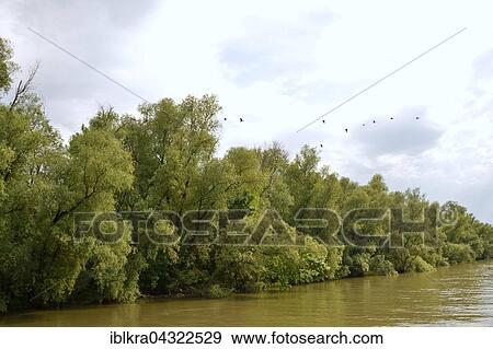 Stock Photo - Danube Delta, Romania, Europe. Fotosearch