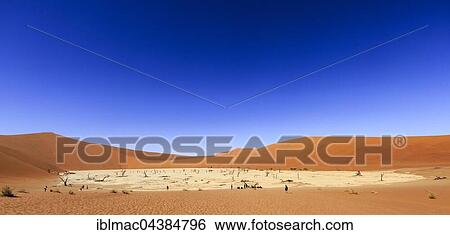 Dead Vlei, Sossusvlei, Namib Desert, Namib-Naukluft National Park, Namibia, Africa View Large Photo Image Stock Photograph - Dead Vlei, Sossusvlei, Namib Desert, Namib-Naukluft National Park, Namibia, Africa. Fotosearch