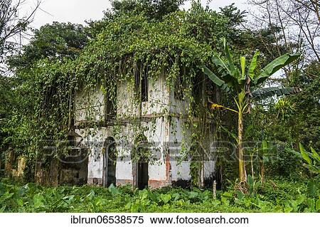 Stock Photography - Decaying houses in the old plantation Roca Bombaim in the jungle interior of Sao Tome, Sao Tome and Principe, Atlantic ocean, Africa. Fotosearch