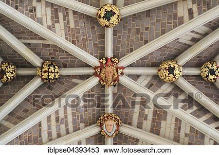 Decorated fan vaulting, nave, Saint-Pierre Cathedral, Detail, Exeter, Devon, England, United Kingdom, Europe View Large Photo Image Stock Image - Decorated fan vaulting, nave, Saint-Pierre Cathedral, Detail, Exeter, Devon, England, United Kingdom, Europe. Fotosearch