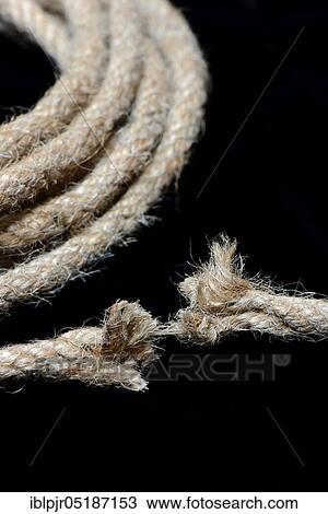 Stock Image - Defective jute rope, on a silk thread, torn, frayed. Fotosearch