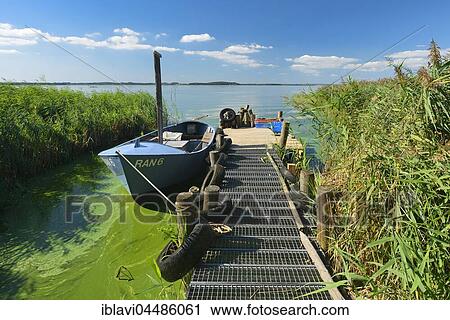 Dock with fishing boat on the Achterwasser, Lieper Winkel, Usedom Island, Baltic Sea, Mecklenburg-Western Pomerania, Germany, Europe View Large Photo Image Stock Image - Dock with fishing boat on the Achterwasser, Lieper Winkel, Usedom Island, Baltic Sea, Mecklenburg-Western Pomerania, Germany, Europe. Fotosearch