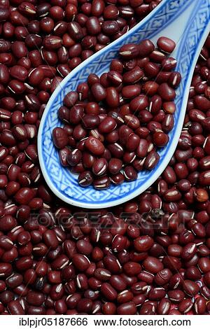 Dried azuki beans with porcelain spoon, Vigna angularis View Large Photo Image Stock Photograph - Dried azuki beans with porcelain spoon, Vigna angularis. Fotosearch