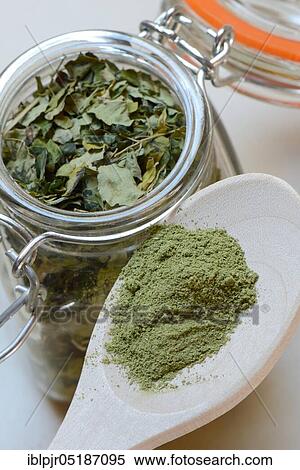 Dried Moringa leaves in glass container, Moringa powder on spoon, Moringa tea (Moringa oleifera) View Large Photo Image Stock Photography - Dried Moringa leaves in glass container, Moringa powder on spoon, Moringa tea (Moringa oleifera). Fotosearch