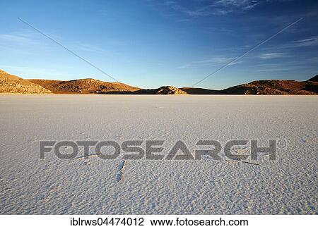 Dried salt lake, Salar de Uyuni, Altiplano, Bolivia, South America View Large Photo Image Stock Image - Dried salt lake, Salar de Uyuni, Altiplano, Bolivia, South America. Fotosearch