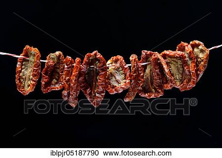 Dried tomatoes on string, Solanum lycopersicum View Large Photo Image Stock Image - Dried tomatoes on string, Solanum lycopersicum. Fotosearch