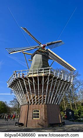 Dutch windmill, Keukenhof, Garden of Europe, Lisse, Netherlands View Large Photo Image Stock Image - Dutch windmill, Keukenhof, Garden of Europe, Lisse, Netherlands. Fotosearch