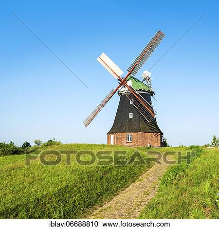 Stock Image - Dutch windmill, Stove, Boiensdorf, Am Salzhaff, Mecklenburg-Western Pomerania, Germany, Europe. Fotosearch