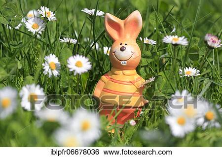 Easter bunny among daisies, Switzerland, Europe View Large Photo Image Stock Photograph - Easter bunny among daisies, Switzerland, Europe. Fotosearch