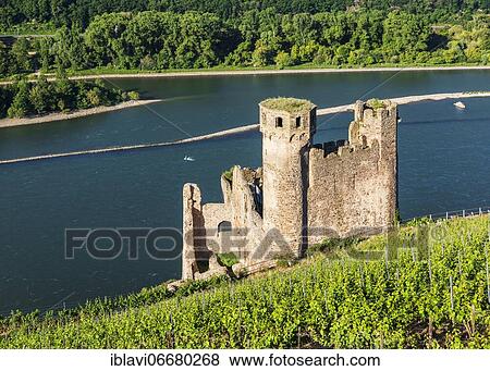 Ehrenfels Castle Ruin in the Vineyards on the Rhine, Rheingau, World Heritage Upper Middle Rhine Valley, Assmannshausen, Rüdesheim, Hesse, Germany, Europe View Large Photo Image Stock Photo - Ehrenfels Castle Ruin in the Vineyards on the Rhine, Rheingau, World Heritage Upper Middle Rhine Valley, Assmannshausen, Rüdesheim, Hesse, Germany, Europe. Fotosearch