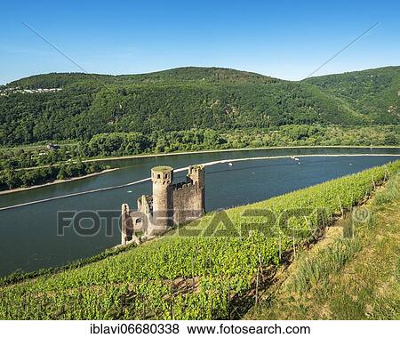 Ehrenfels Castle Ruin in the Vineyards on the Rhine, Rheingau, World Heritage Upper Middle Rhine Valley, Assmannshausen, Rüdesheim, Hesse, Germany, Europe View Large Photo Image Stock Photo - Ehrenfels Castle Ruin in the Vineyards on the Rhine, Rheingau, World Heritage Upper Middle Rhine Valley, Assmannshausen, Rüdesheim, Hesse, Germany, Europe. Fotosearch
