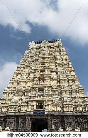 Ekambaresvara temple or Ekambareshvara temple Gopuram or gate tower, Kanchipuram, Tamil Nadu, India, Asia View Large Photo Image Stock Photo - Ekambaresvara temple or Ekambareshvara temple Gopuram or gate tower, Kanchipuram, Tamil Nadu, India, Asia. Fotosearch