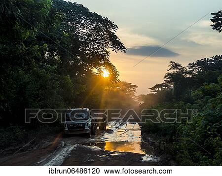 Empty loggin truck deep in the jungle of Cameroon View Large Photo Image Stock Image - Empty loggin truck deep in the jungle of Cameroon. Fotosearch