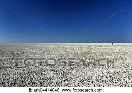 Etosha desert, dried up salt lake, Etosha National Park, Namibia, Africa View Large Photo Image Stock Photograph - Etosha desert, dried up salt lake, Etosha National Park, Namibia, Africa. Fotosearch