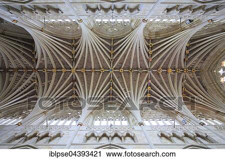 Fan vaulting, nave, The Cathedral Church of St Peter, Exeter, Devon, England, United Kingdom, Europe View Large Photo Image Stock Image - Fan vaulting, nave, The Cathedral Church of St Peter, Exeter, Devon, England, United Kingdom, Europe. Fotosearch