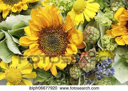 Stock Image - Flower arrangement. Fotosearch