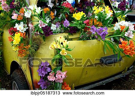 Stock Image - Flower decorated old car, flower show, horticultural show, Hampton Court Flower Show, London, England, Great Britain. Fotosearch