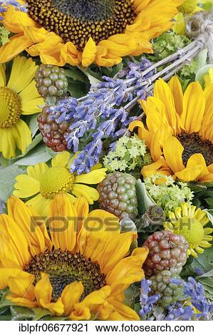 Flower Wreath Decoration, Flower Arrangement View Large Photo Image Stock Image - Flower Wreath Decoration, Flower Arrangement. Fotosearch