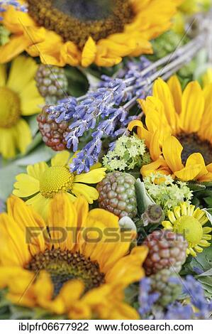 Flower Wreath Decoration, Flower Arrangement View Large Photo Image Stock Image - Flower Wreath Decoration, Flower Arrangement. Fotosearch