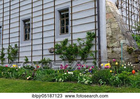 Flowerbed in Goethe's garden house, Weimar, Thuringia, Germany, Europe View Large Photo Image Stock Image - Flowerbed in Goethe's garden house, Weimar, Thuringia, Germany, Europe. Fotosearch