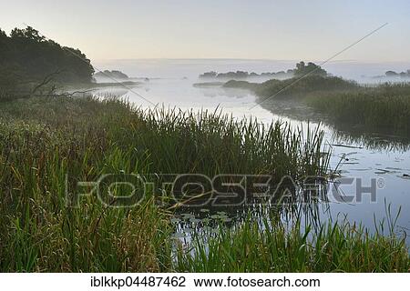 Foggy atmosphere at Leiner Lake, Middle Elbe Biosphere Reserve, Saxony-Anhalt, Germany, Europe View Large Photo Image Stock Image - Foggy atmosphere at Leiner Lake, Middle Elbe Biosphere Reserve, Saxony-Anhalt, Germany, Europe. Fotosearch